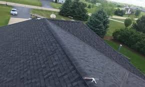 Best Roof Maintenance and Cleaning  in Despard, WV